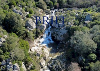 Terreno agricolo LOCALITÀ LA NOCI TEMPIO PAUSANIA, Tempio Pausania - foto 11