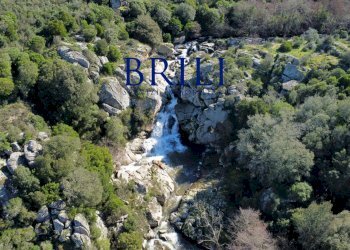 Terreno agricolo LOCALITÀ LA NOCI TEMPIO PAUSANIA, Tempio Pausania - foto 12