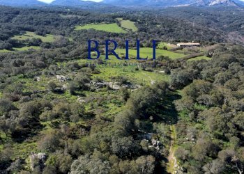 Terreno agricolo LOCALITÀ LA NOCI TEMPIO PAUSANIA, Tempio Pausania - foto 13