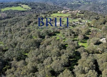 Terreno agricolo LOCALITÀ LA NOCI TEMPIO PAUSANIA, Tempio Pausania - foto 14