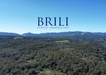 Terreno agricolo LOCALITÀ LA NOCI TEMPIO PAUSANIA, Tempio Pausania - foto 15