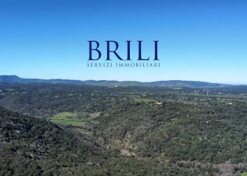 Terreno agricolo LOCALITÀ LA NOCI TEMPIO PAUSANIA, Tempio Pausania - foto 16