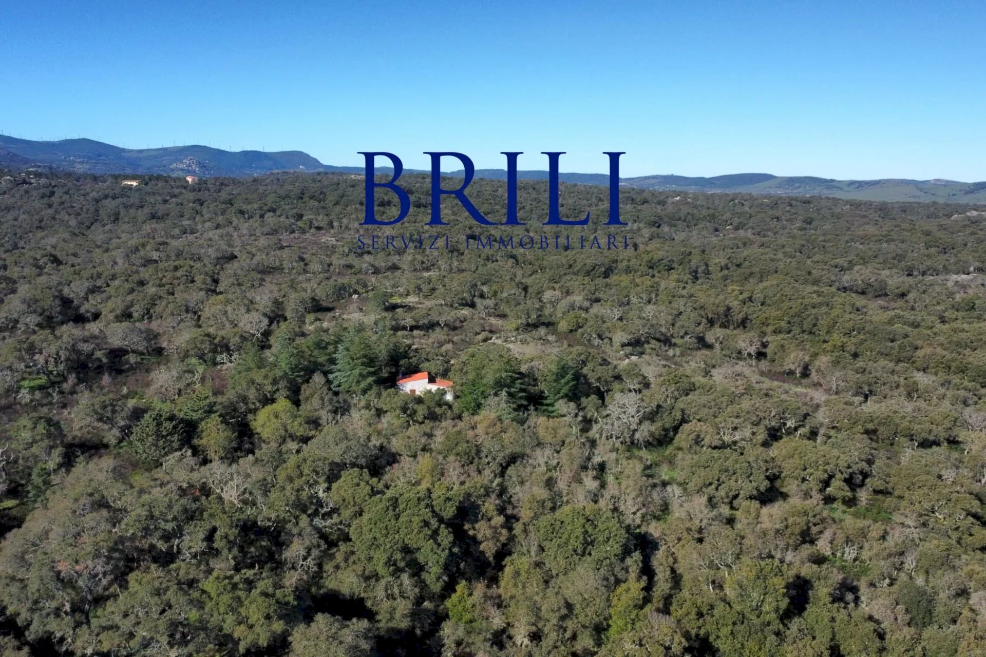 Terreno edificabile SS133, Tempio Pausania - foto 1