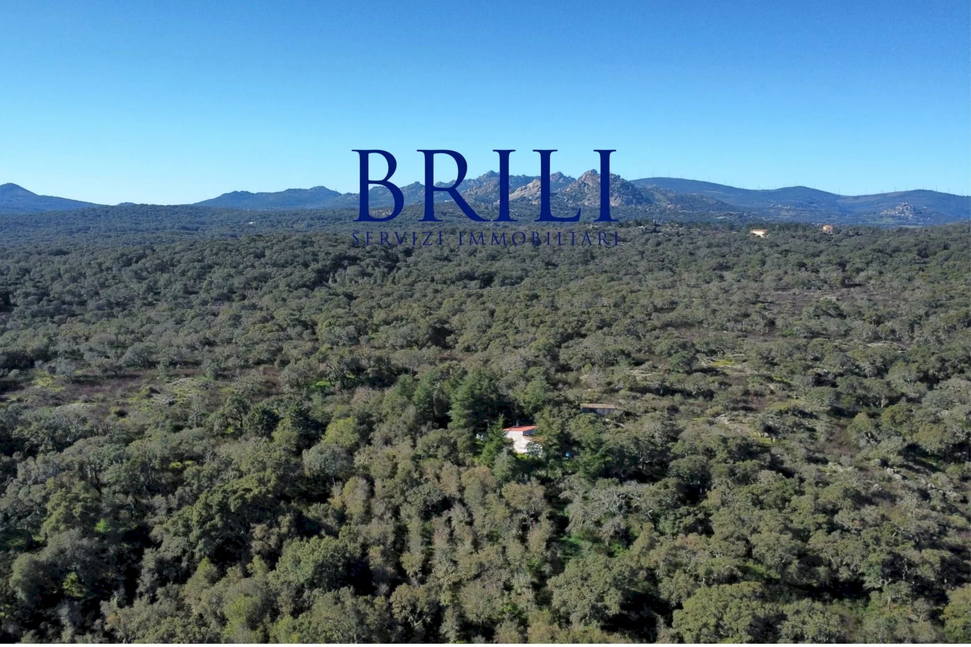 Terreno edificabile SS133, Tempio Pausania - foto 3