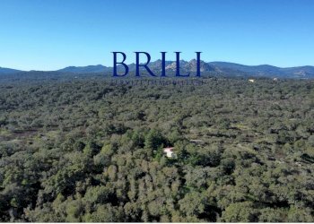 Terreno edificabile SS133, Tempio Pausania - foto 3