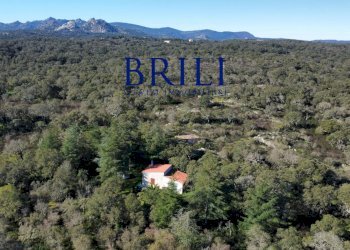 Terreno edificabile SS133, Tempio Pausania - foto 5