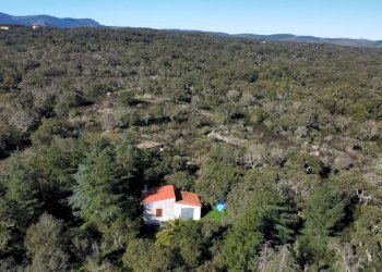 Terreno edificabile SS133, Tempio Pausania - foto 6