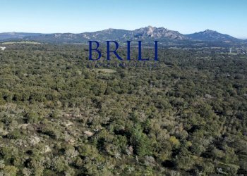 Terreno edificabile SS133, Tempio Pausania - foto 8