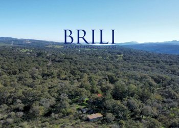 Terreno edificabile SS133, Tempio Pausania - foto 9