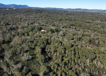 Terreno edificabile SS133, Tempio Pausania - foto 10