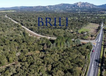 Terreno edificabile SS133, Tempio Pausania - foto 11