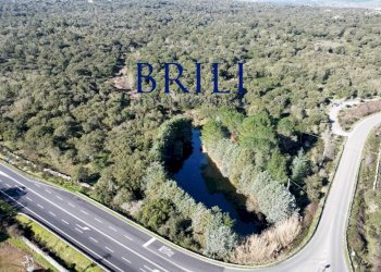 Terreno edificabile SS133, Tempio Pausania - foto 13