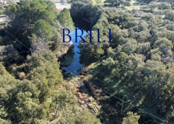 Terreno edificabile SS133, Tempio Pausania - foto 16