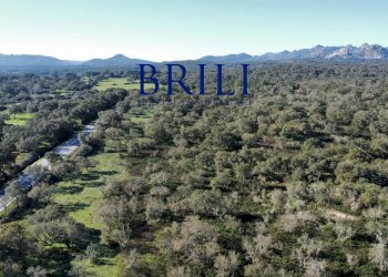 Terreno edificabile SS133, Tempio Pausania - foto 17