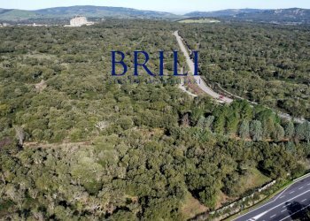 Terreno edificabile SS133, Tempio Pausania - foto 20