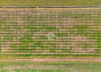 Rustico Via Carpi Ravarino, Soliera - foto 15