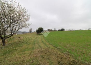 Casa indipendente Via fogliano, Roncofreddo - foto 22