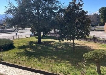 Trilocale Cuneo - foto 5