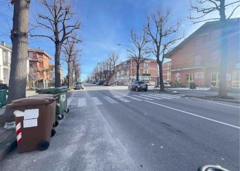 Shop Viale Regina elena, Fossano - photo 23