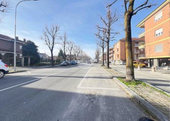 Shop Viale Regina elena, Fossano - photo 24