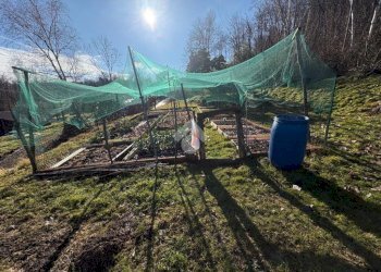 Casa indipendente Cascina Gianetto, Magnano - foto 30