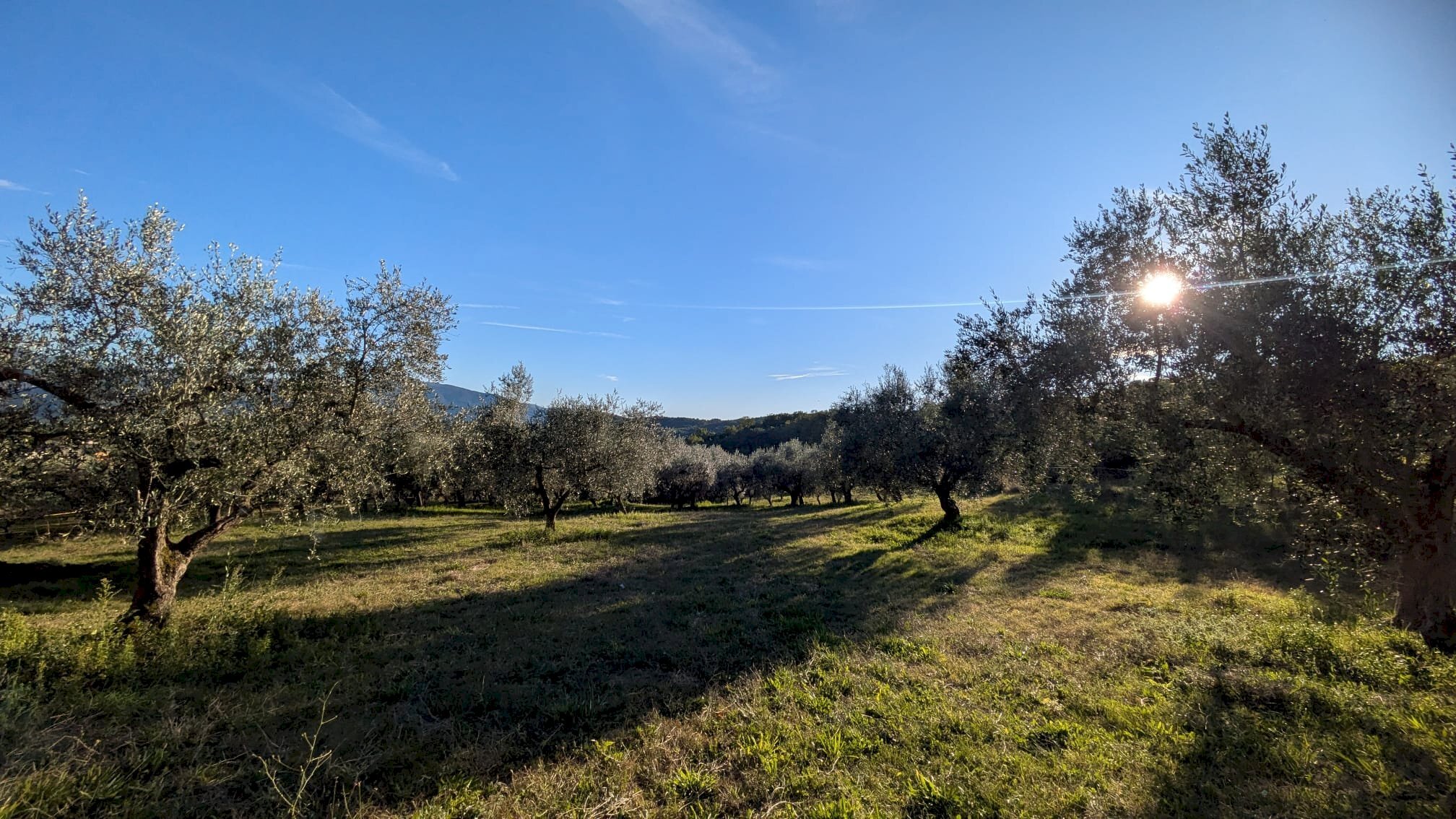 Agricultural land Contrada Salietto, Via Salietto, hamlet Salietto, Isernia - photo 2