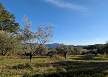 Agricultural land Contrada Salietto, Via Salietto, hamlet Salietto, Isernia - photo 1
