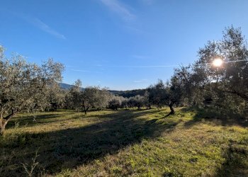 Agricultural land Contrada Salietto, Via Salietto, hamlet Salietto, Isernia - photo 2