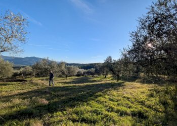 Agricultural land Contrada Salietto, Via Salietto, hamlet Salietto, Isernia - photo 4