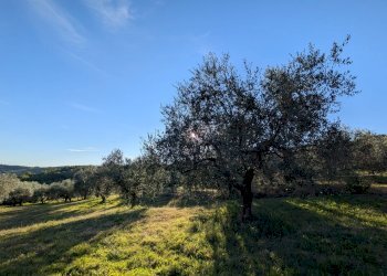 Agricultural land Contrada Salietto, Via Salietto, hamlet Salietto, Isernia - photo 5