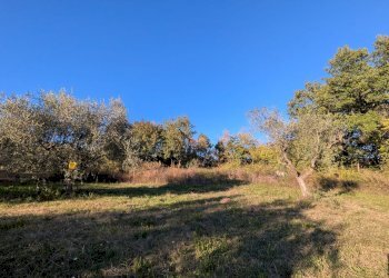 Agricultural land Contrada Salietto, Via Salietto, hamlet Salietto, Isernia - photo 6