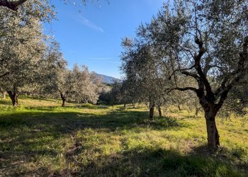 Agricultural land Contrada Salietto, Via Salietto, hamlet Salietto, Isernia - photo 16