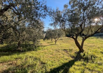 Agricultural land Contrada Salietto, Via Salietto, hamlet Salietto, Isernia - photo 19