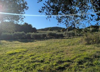 Agricultural land Contrada Salietto, Via Salietto, hamlet Salietto, Isernia - photo 21