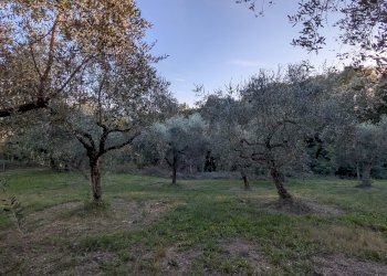 Agricultural land Contrada Salietto, Via Salietto, hamlet Salietto, Isernia - photo 26