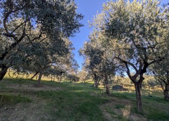 Agricultural land Contrada Salietto, Via Salietto, hamlet Salietto, Isernia - photo 27