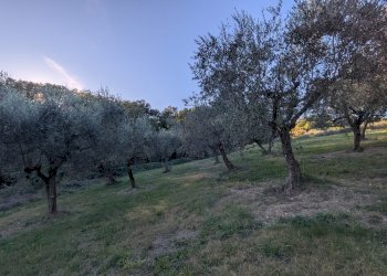 Agricultural land Contrada Salietto, Via Salietto, hamlet Salietto, Isernia - photo 28