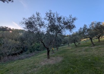 Agricultural land Contrada Salietto, Via Salietto, hamlet Salietto, Isernia - photo 30