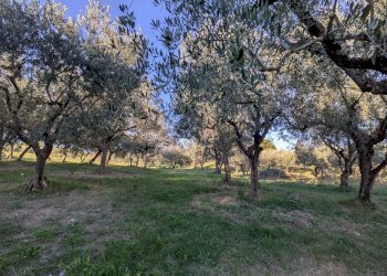 Agricultural land Contrada Salietto, Via Salietto, hamlet Salietto, Isernia - photo 31