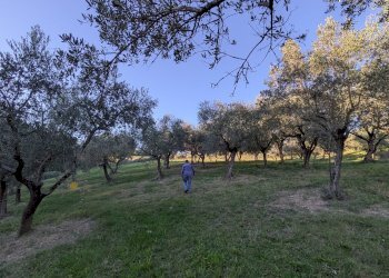 Agricultural land Contrada Salietto, Via Salietto, hamlet Salietto, Isernia - photo 33