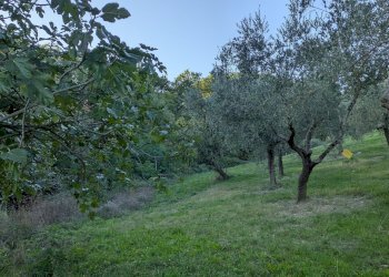 Agricultural land Contrada Salietto, Via Salietto, hamlet Salietto, Isernia - photo 36