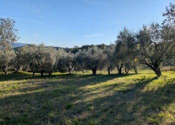 Agricultural land Contrada Salietto, Via Salietto, hamlet Salietto, Isernia - photo 37