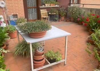 Bilocale Bologna - foto 5