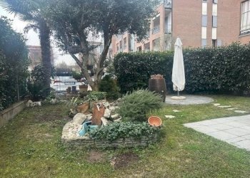 Trilocale Bastiglia - foto 4