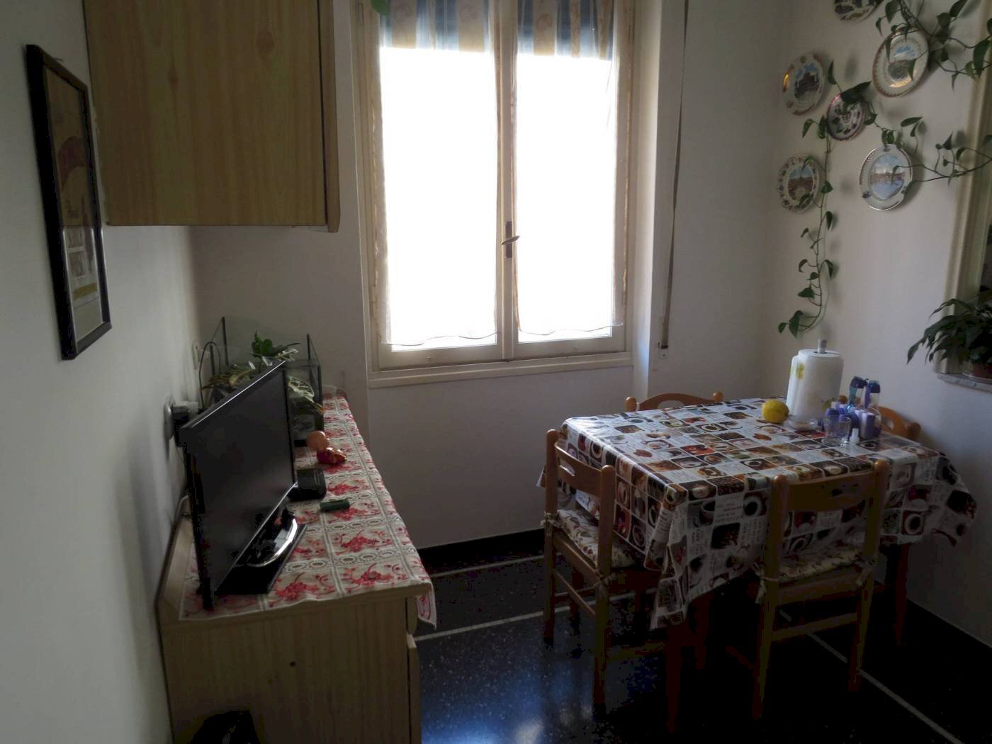 Trilocale Genova (zona Staglieno) - foto 2