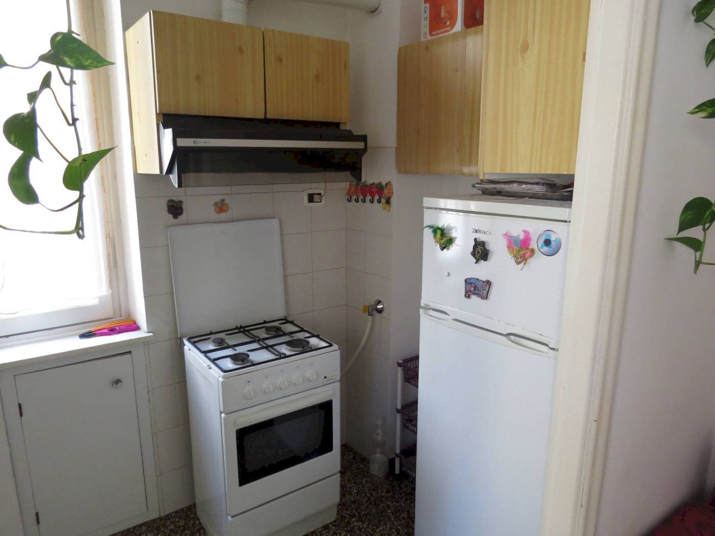 Trilocale Genova (zona Staglieno) - foto 3