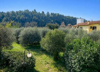 Villa strada di San Carlo, Terni - foto 34