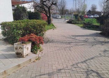 962eba8c-841f-47c4-869e-551fe5496a47.jpg - Casa indipendente Padova - foto 1