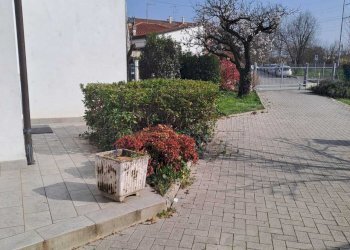 5919941f-4f40-4486-973b-91234e5e1aea.jpg - Casa indipendente Padova - foto 15