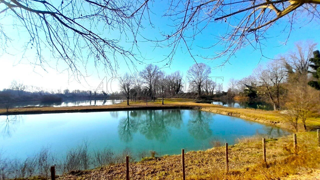 IMG-20260213-WA0031.jpg - Rustico Via Riccardo Riporti 8, Piazzola sul Brenta - foto 1